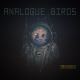 Analogue Birds - Live