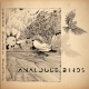 Analogue Birds - Error Before Beauty