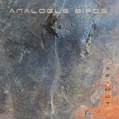 Analogue Birds - Azimut