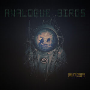 Analogue Birds - "Live" - CD & Download